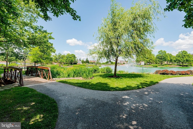 810 Broken Twig Ct, Odenton, MD 21113 - view of home's community with a water view and a yard