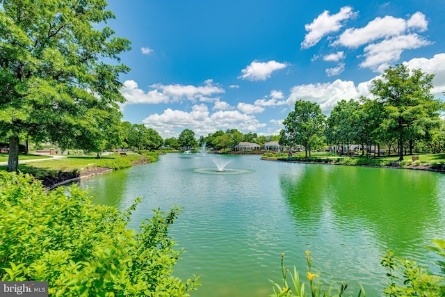 810 Broken Twig Ct, Odenton, MD 21113 - water view