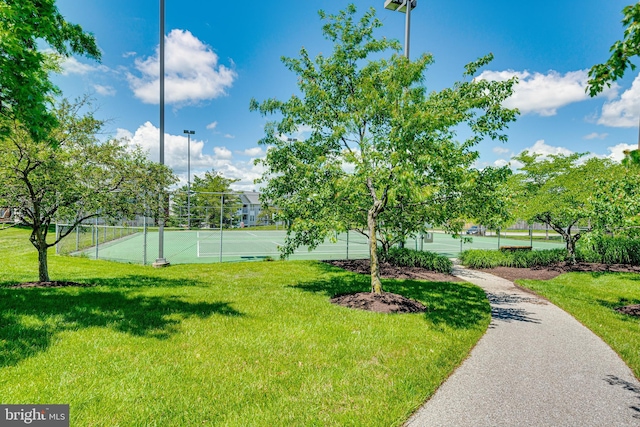 810 Broken Twig Ct, Odenton, MD 21113 - view of yard with a tennis court