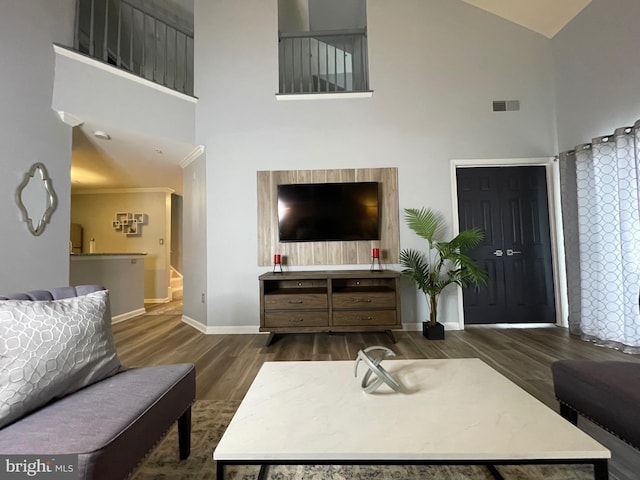 8 Tyler Falls Ct Unit C, Baltimore, MD 21209 - living area with a high ceiling and wood finished floors