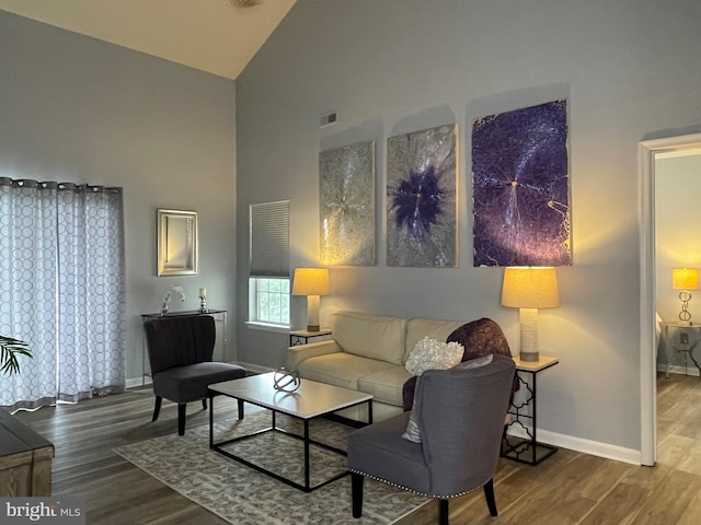 8 Tyler Falls Ct Unit C, Baltimore, MD 21209 - living area featuring high vaulted ceiling and wood finished floors