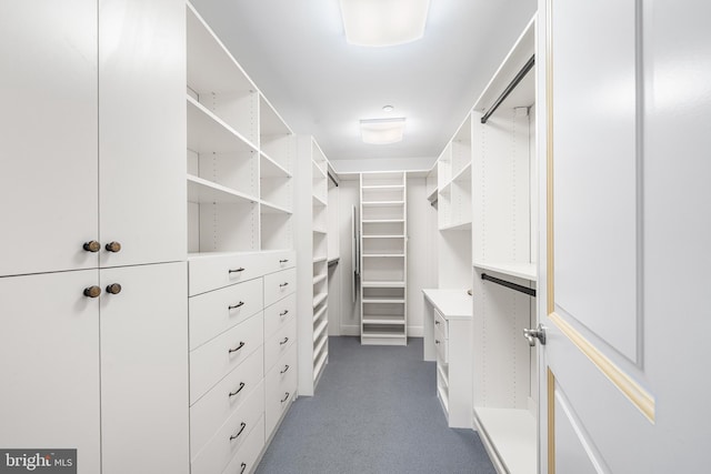 1701 Locust St Unit 2015, Philadelphia, PA 19103 - spacious closet featuring dark colored carpet