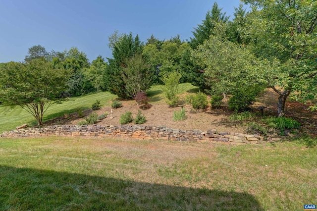 455 Foxdale Ln, Charlottesville, VA 22903 - view of green lawn