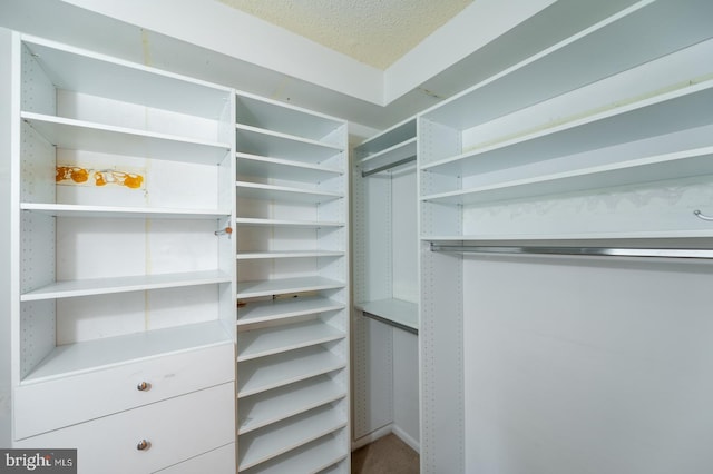 20630 Valley Forge Cir Unit 630, King Of Prussia, PA 19406 - view of spacious closet