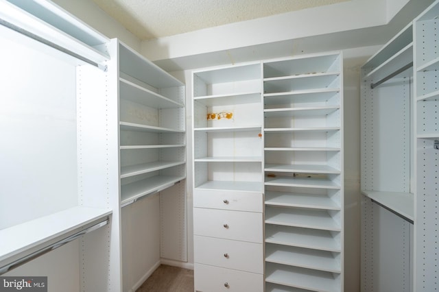 20630 Valley Forge Cir Unit 630, King Of Prussia, PA 19406 - view of spacious closet