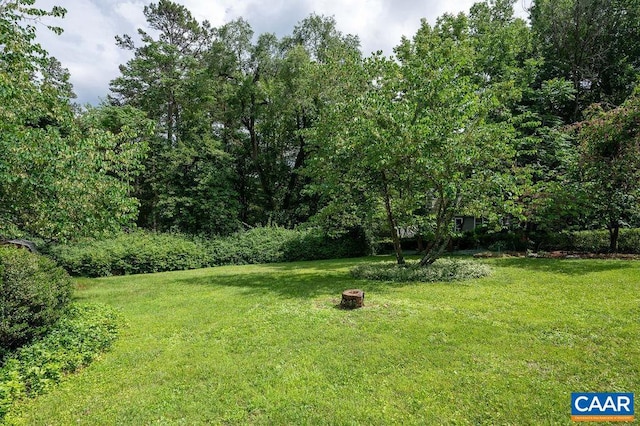1614 Meadowbrook Heights Rd, Charlottesville, VA 22901 - view of green lawn