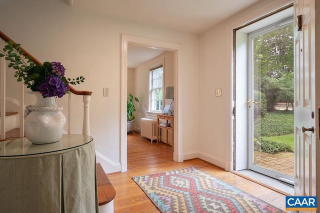 1614 Meadowbrook Heights Rd, Charlottesville, VA 22901 - entryway with radiator heating unit, plenty of natural light, and light wood-style flooring