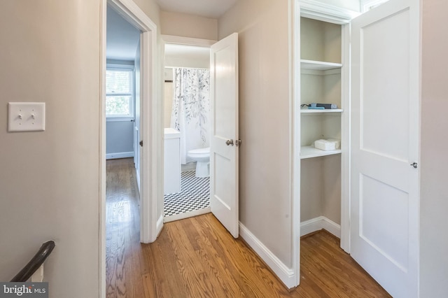 509 Baynard Blvd, Wilmington, DE 19803 - hallway with light wood-style flooring