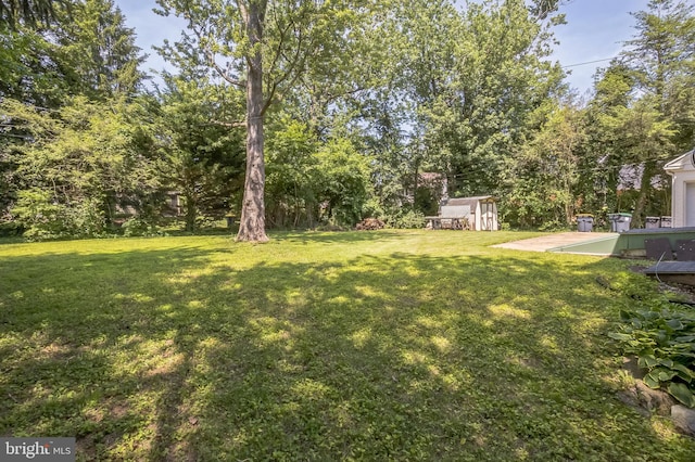 509 Baynard Blvd, Wilmington, DE 19803 - view of green lawn