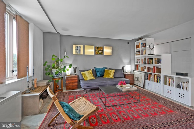2800 Wisconsin Ave NW Unit 304, Washington, DC 20007 - view of living area