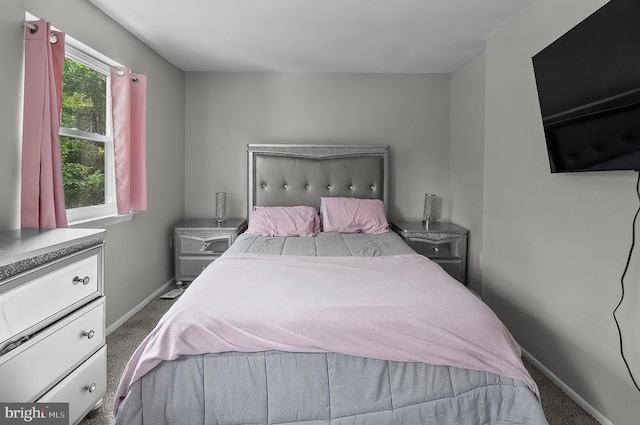 9355 Pan Ridge Rd Unit 9355, Parkville, MD 21234 - bedroom with carpet floors