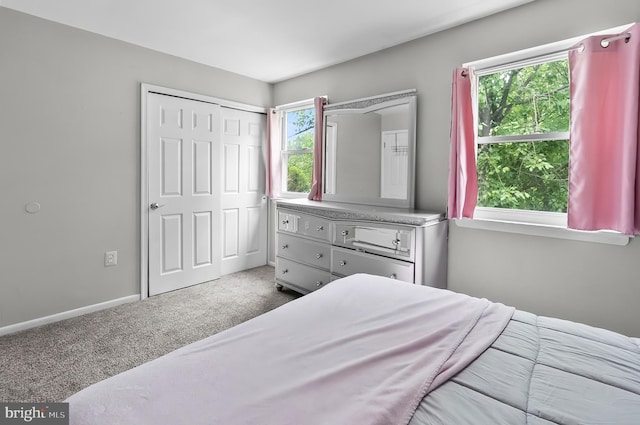 9355 Pan Ridge Rd Unit 9355, Parkville, MD 21234 - carpeted bedroom featuring baseboards and a closet