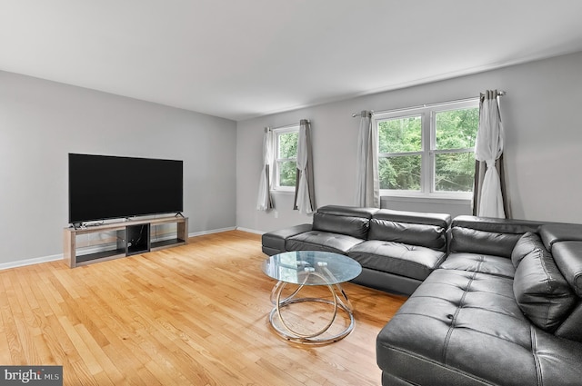 9355 Pan Ridge Rd Unit 9355, Parkville, MD 21234 - living area with wood finished floors and baseboards