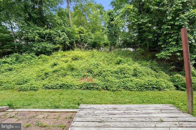 9355 Pan Ridge Rd Unit 9355, Parkville, MD 21234 - view of yard