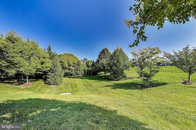 1869 Cedar Cove Way Unit 101, Woodbridge, VA 22191 - view of grassy yard