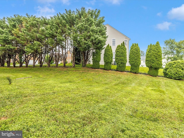 14228 Golden Hook Rd, Boyds, MD 20841 - view of grassy yard