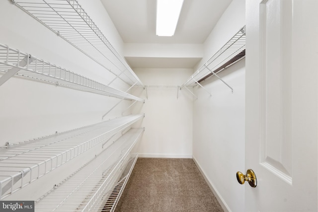11021 Folksie Ct Unit 201, Manassas, VA 20109 - walk in closet with carpet flooring