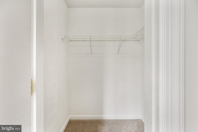 11021 Folksie Ct Unit 201, Manassas, VA 20109 - spacious closet with carpet flooring