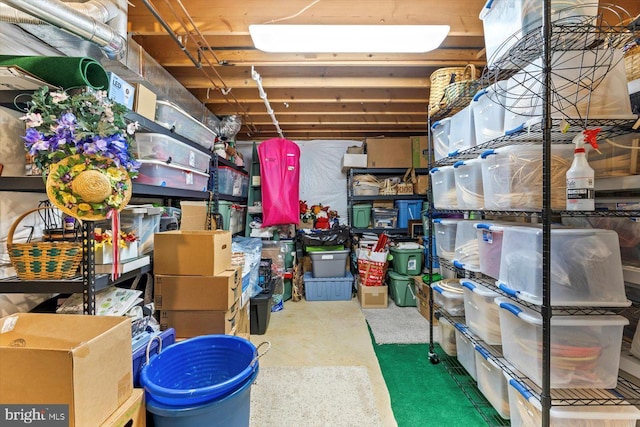 69 Cardinal Forest Dr, Fredericksburg, VA 22406 - view of storage