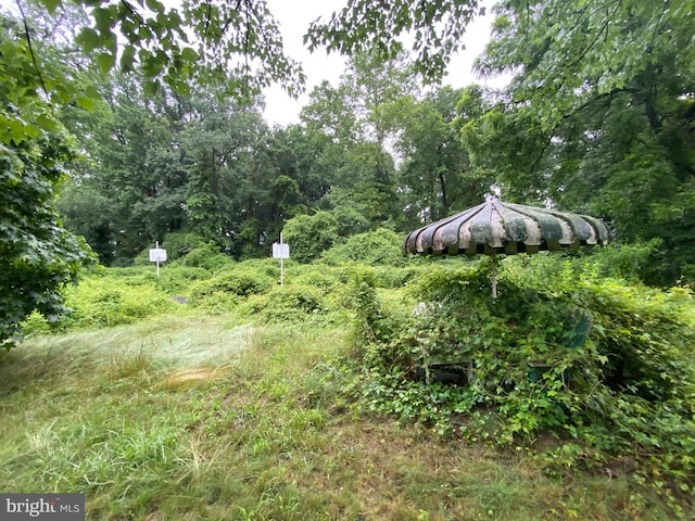 5513 Taylor Rd, Riverdale, MD 20737 - view of yard