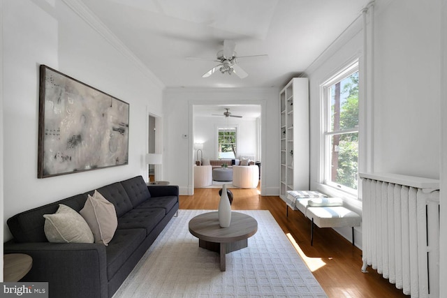 1329 Delafield Pl NW, Washington, DC 20011 - living room with radiator heating unit, plenty of natural light, wood finished floors, and ornamental molding