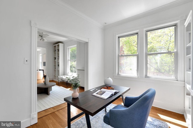1329 Delafield Pl NW, Washington, DC 20011 - office area with wood finished floors and crown molding