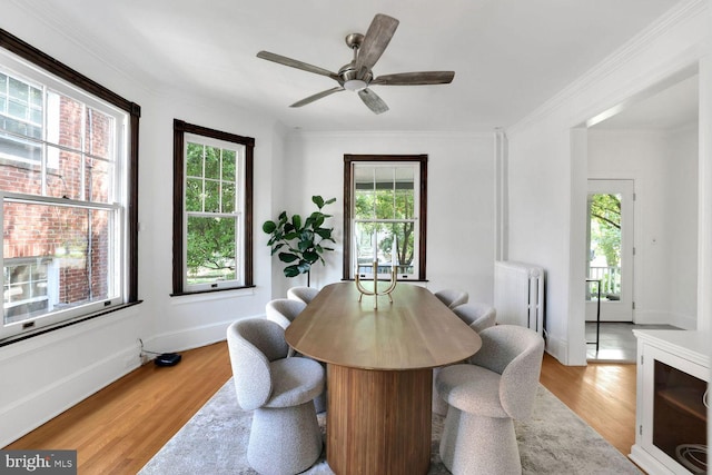 1329 Delafield Pl NW, Washington, DC 20011 - dining room featuring radiator, light wood-style flooring, ceiling fan, and crown molding
