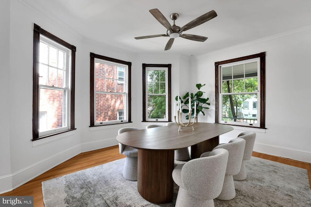 1329 Delafield Pl NW, Washington, DC 20011 - dining room with plenty of natural light, crown molding, a ceiling fan, and wood finished floors