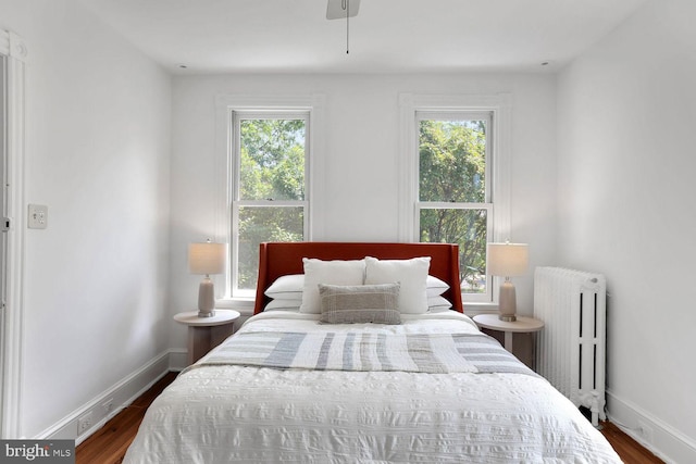 1329 Delafield Pl NW, Washington, DC 20011 - bedroom featuring radiator, multiple windows, and dark wood-style flooring