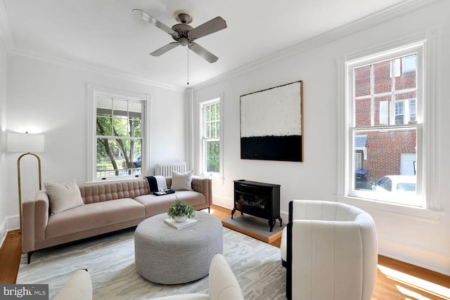 1329 Delafield Pl NW, Washington, DC 20011 - living room with a wood stove, crown molding, light wood finished floors, a ceiling fan, and radiator heating unit