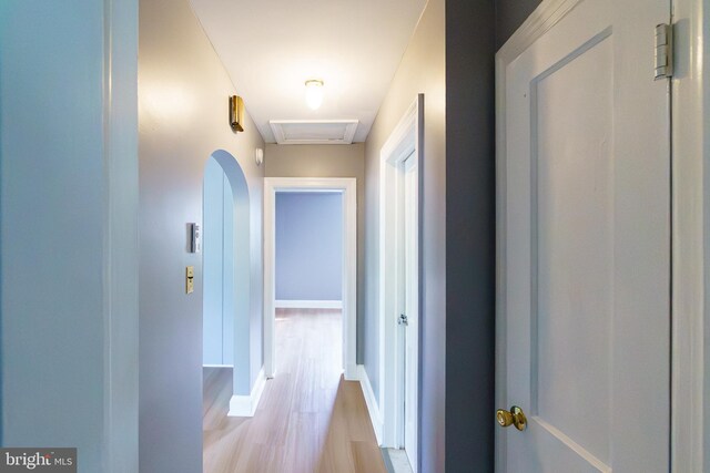 6 Carroll Rd, Catonsville, MD 21228 - hall with light wood-type flooring and baseboards