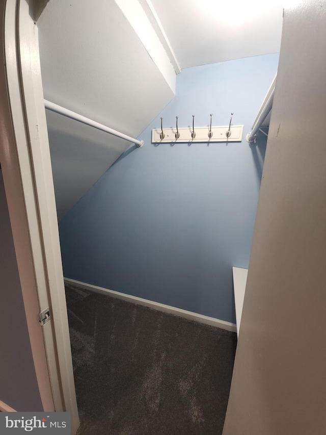 2258 Arlington Ter, Alexandria, VA 22303 - walk in closet featuring carpet and vaulted ceiling