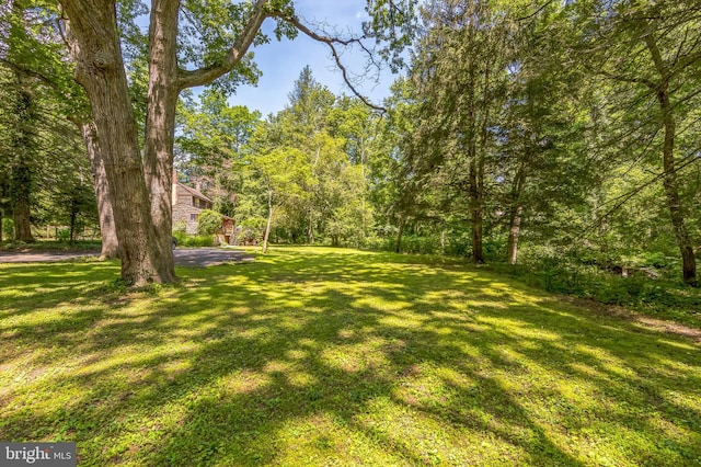 361 E Knowlton Rd, Media, PA 19063 - view of green lawn featuring a view of trees