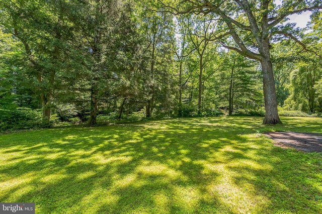 361 E Knowlton Rd, Media, PA 19063 - view of green lawn featuring a view of trees