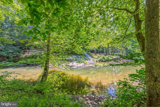 361 E Knowlton Rd, Media, PA 19063 - water view
