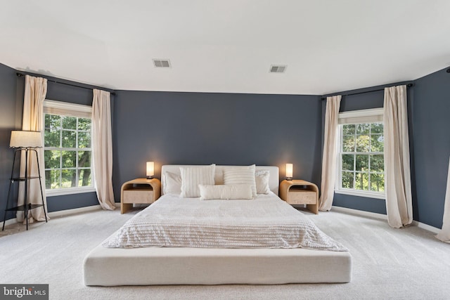 18416 Mill Run Ct, Leesburg, VA 20176 - bedroom featuring carpet