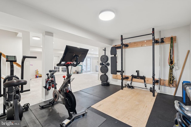 18416 Mill Run Ct, Leesburg, VA 20176 - view of exercise room