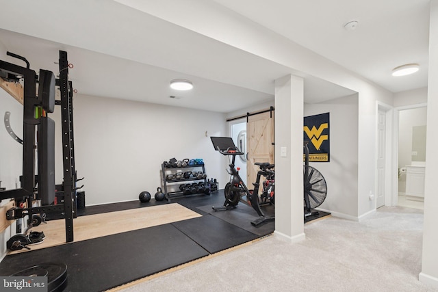 18416 Mill Run Ct, Leesburg, VA 20176 - exercise area featuring a barn door and carpet flooring