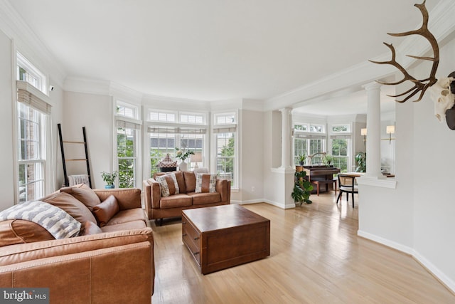 18416 Mill Run Ct, Leesburg, VA 20176 - living area with ornate columns, healthy amount of natural light, light wood-style flooring, and ornamental molding