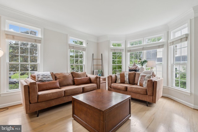 18416 Mill Run Ct, Leesburg, VA 20176 - living room featuring crown molding and light wood-style flooring