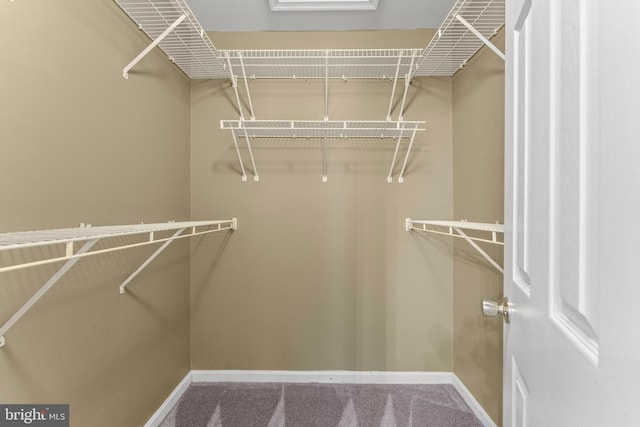 5522 Trout Run Rd, Clinton, MD 20735 - walk in closet with carpet