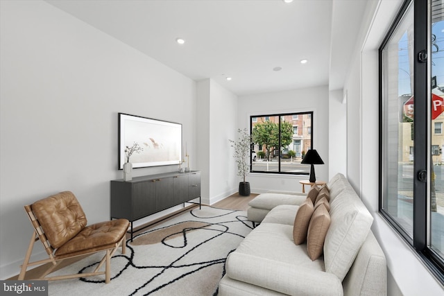 919 S 11th St Unit B, Philadelphia, PA 19147 - living area featuring wood finished floors and recessed lighting