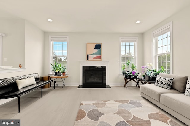 22974 Weybridge Sq, Broadlands, VA 20148 - living room featuring plenty of natural light, a fireplace, recessed lighting, and wood finished floors