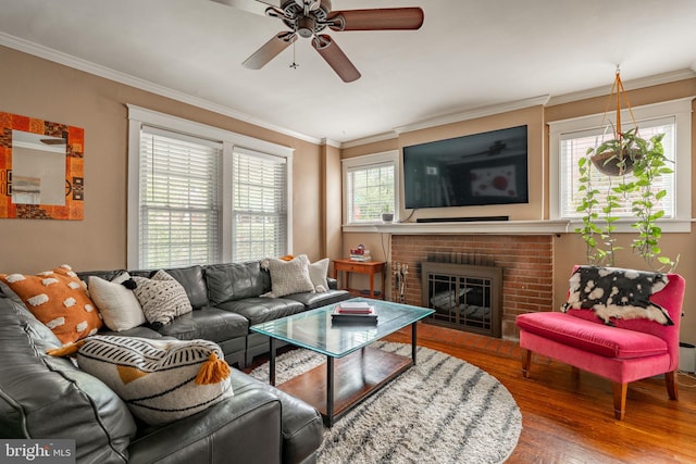 227 Ruby St, Lancaster, PA 17603 - living room featuring ornamental molding, ceiling fan, wood finished floors, and a fireplace