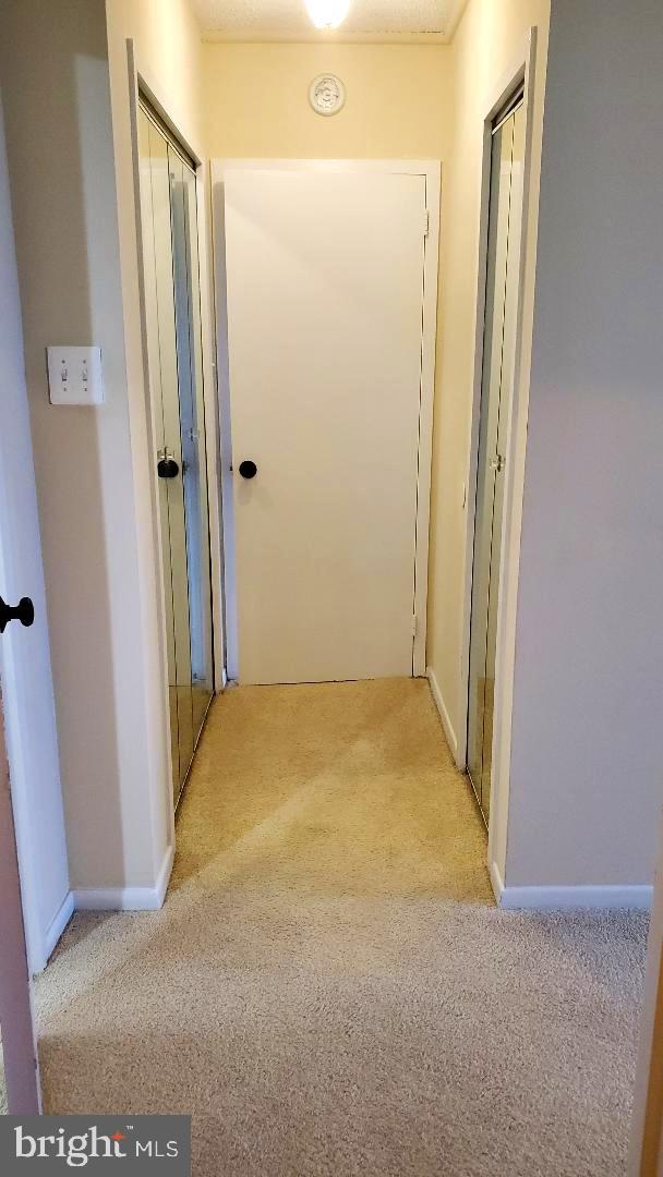 3705 S George Mason Dr Unit 1311, Falls Church, VA 22041 - corridor with carpet floors