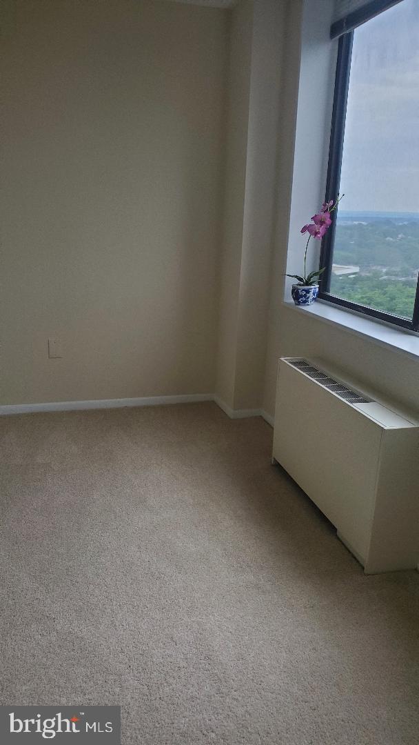 3705 S George Mason Dr Unit 1311, Falls Church, VA 22041 - unfurnished room with radiator heating unit, light carpet, and healthy amount of natural light