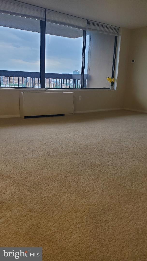 3705 S George Mason Dr Unit 1311, Falls Church, VA 22041 - carpeted empty room featuring baseboards