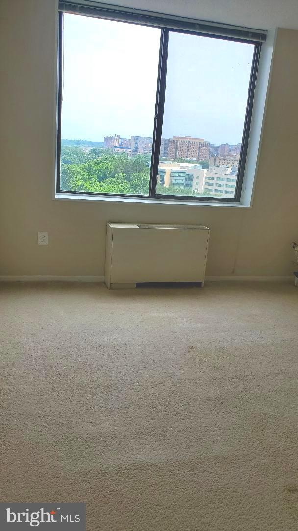 3705 S George Mason Dr Unit 1311, Falls Church, VA 22041 - unfurnished room with healthy amount of natural light, radiator, and carpet flooring