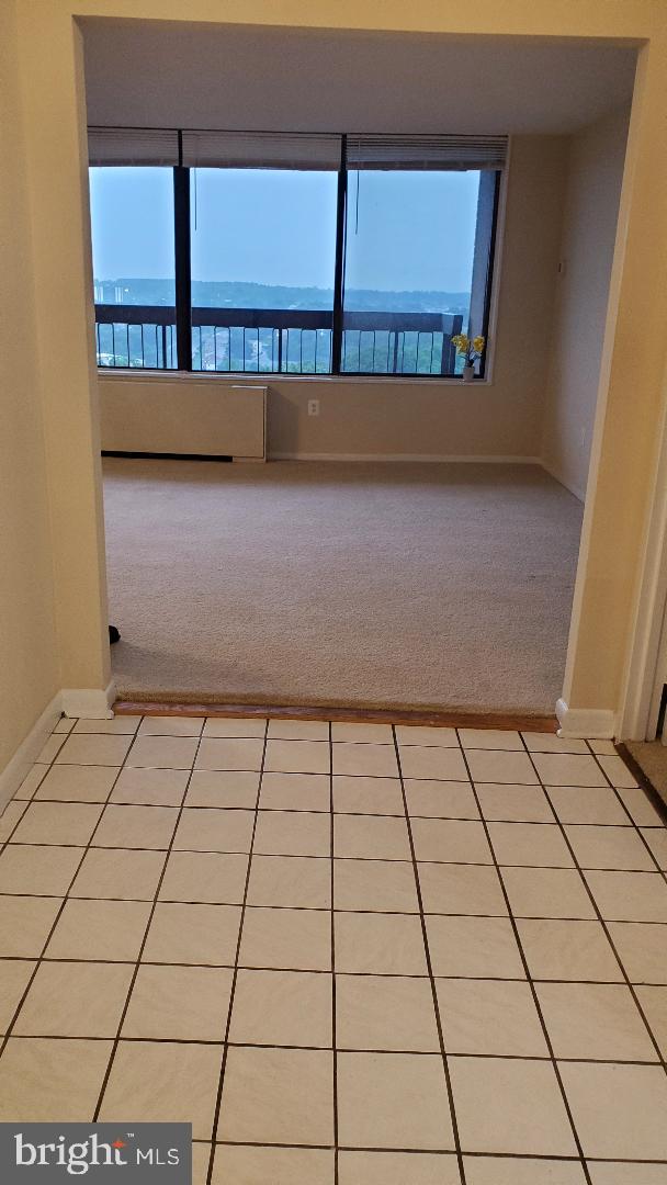 3705 S George Mason Dr Unit 1311, Falls Church, VA 22041 - empty room featuring light carpet