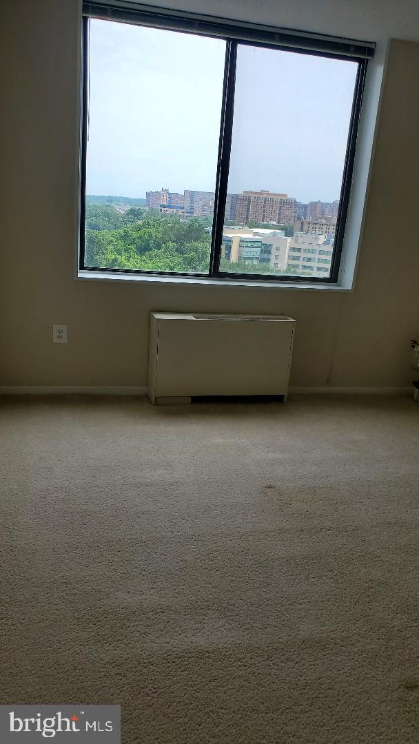 3705 S George Mason Dr Unit 1311, Falls Church, VA 22041 - empty room featuring plenty of natural light, radiator heating unit, and carpet flooring
